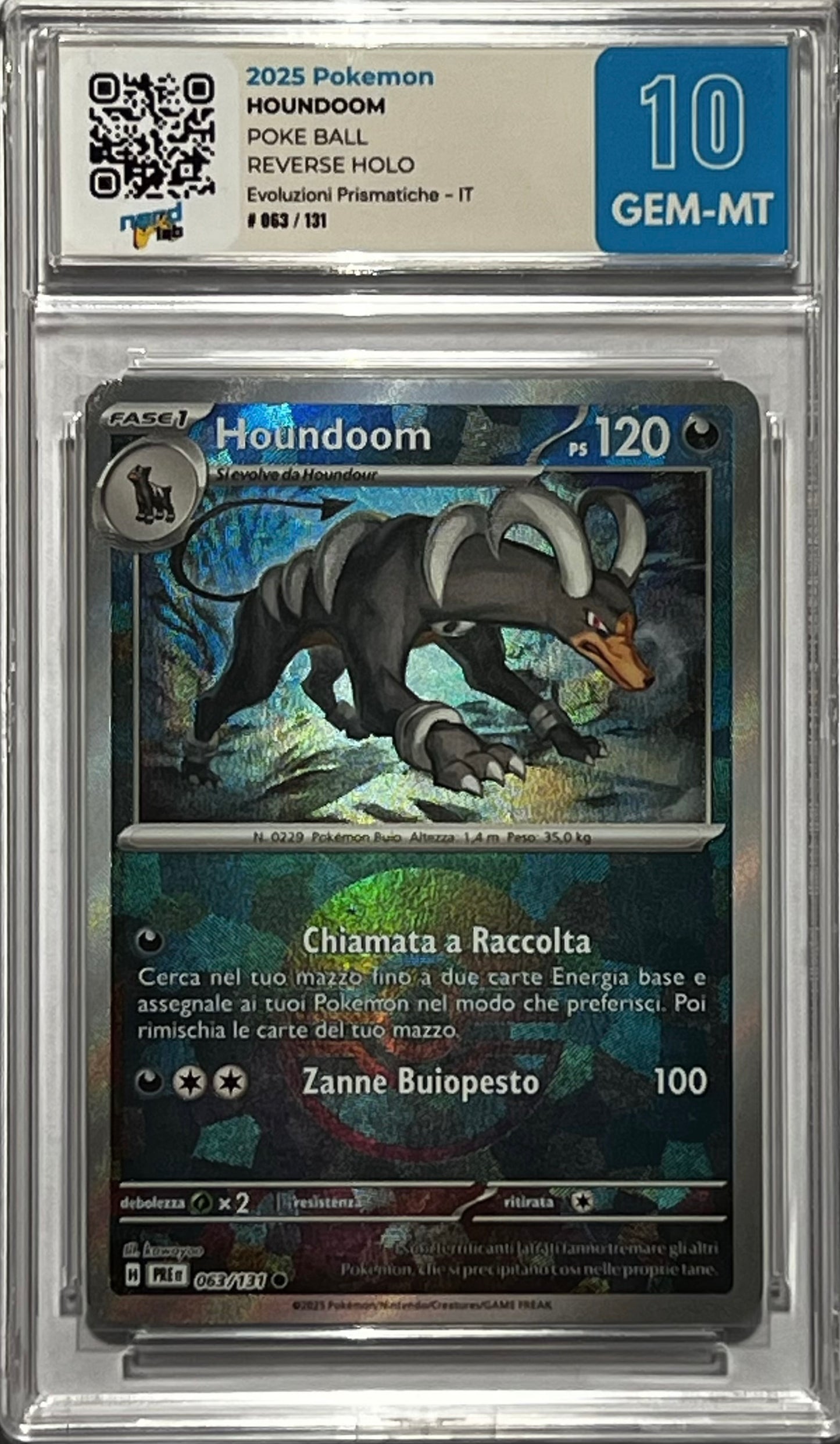 Houndoom - Nerd Lab